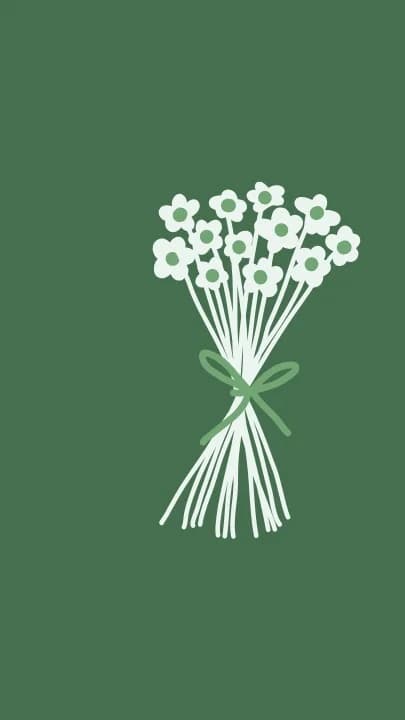 Wedding Dreams — Assessoria